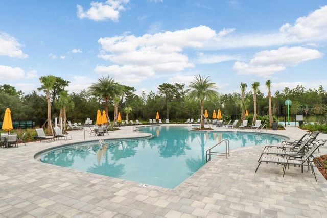 32978 TULIP PETAL LANE, Wesley Chapel, FL 33545