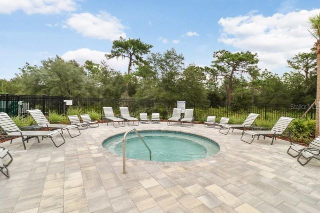 32978 TULIP PETAL LANE, Wesley Chapel, FL 33545