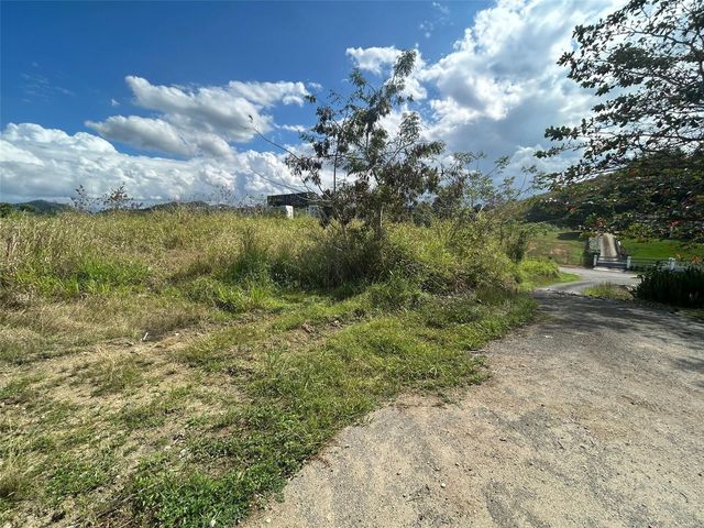 1 CAMINO LAS AWILDA, Gurabo, PR 00778