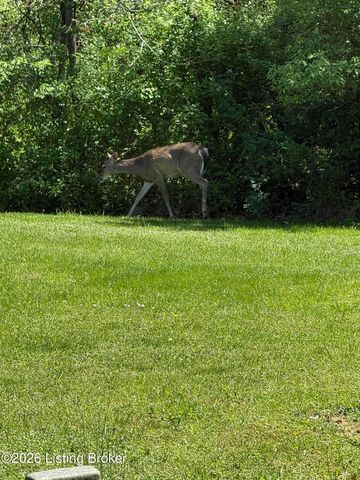 1107 Bruce Wood Ct, Louisville, KY 40245