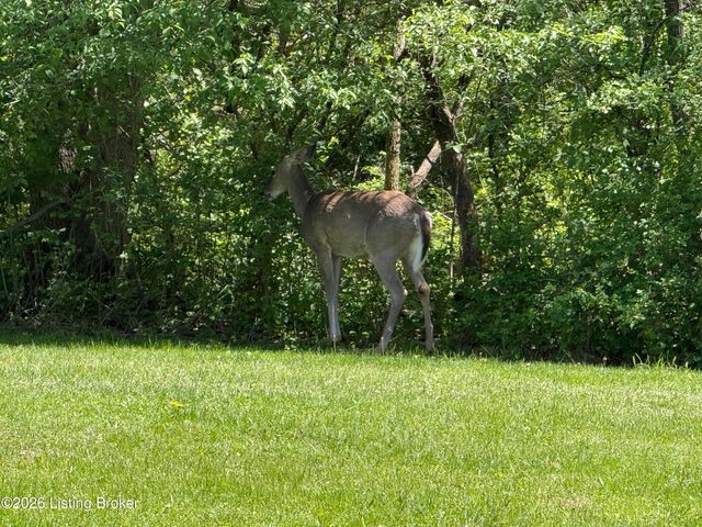 1107 Bruce Wood Ct, Louisville, KY 40245