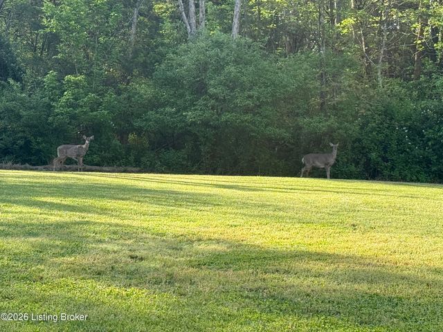 1107 Bruce Wood Ct, Louisville, KY 40245