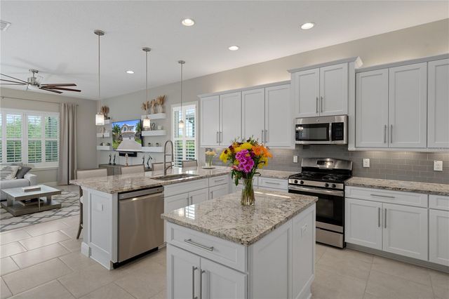 30351 TRISTANIA COURT, Wesley Chapel, FL 33543