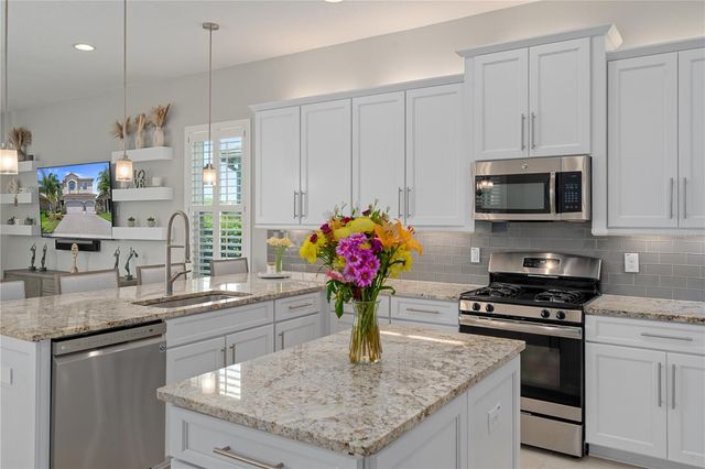 30351 TRISTANIA COURT, Wesley Chapel, FL 33543