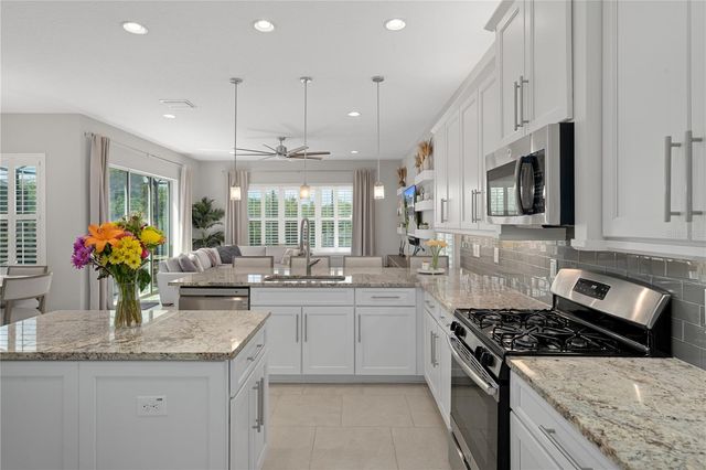 30351 TRISTANIA COURT, Wesley Chapel, FL 33543