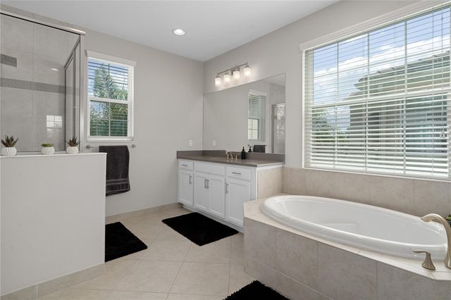 30351 TRISTANIA COURT, Wesley Chapel, FL 33543