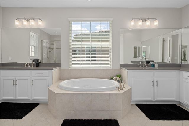 30351 TRISTANIA COURT, Wesley Chapel, FL 33543