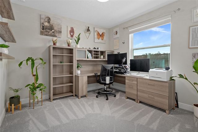 30351 TRISTANIA COURT, Wesley Chapel, FL 33543