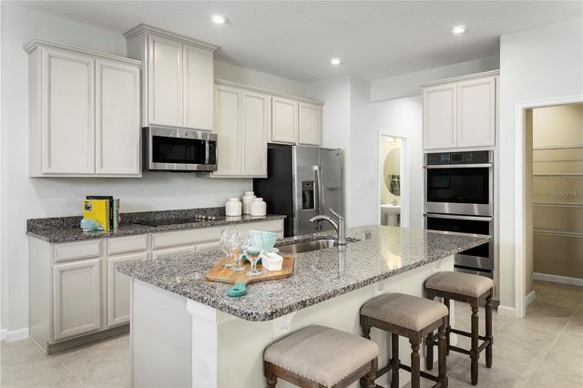 2439 WHITE LADYFISH ROAD, Wimauma, FL 33598