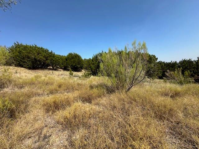 Lot 98 Nighthawk Drive, Possum Kingdom Lake, TX 76449