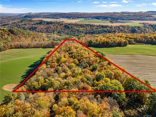 11402 Canaseraga Road, Ossian, NY 14437