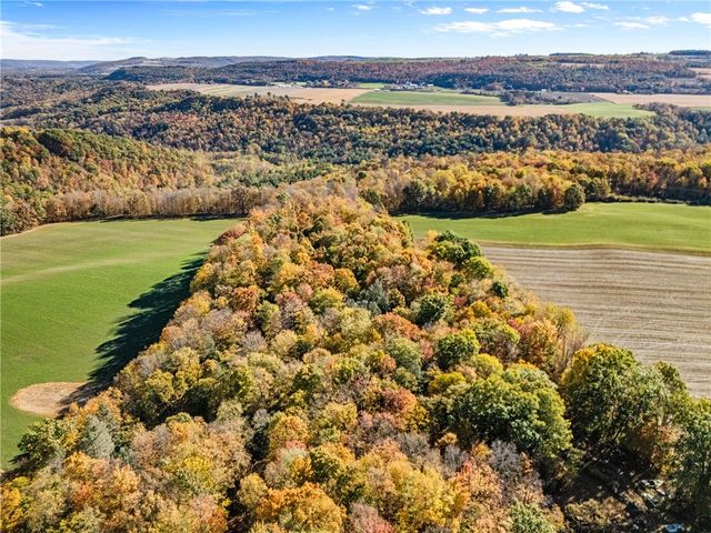 11402 Canaseraga Road, Ossian, NY 14437