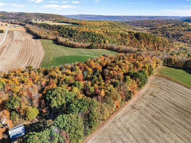 11402 Canaseraga Road, Ossian, NY 14437