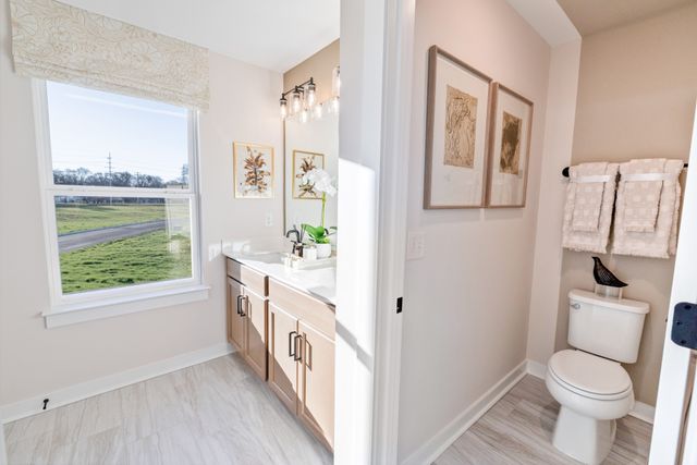317 Black Bear Drive, Mount Pleasant, TN 38474