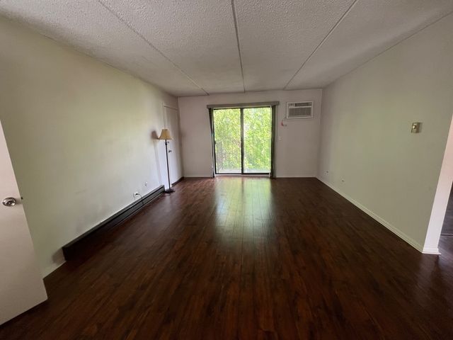 1030 dunlop 1E, Forest Park, IL 60130