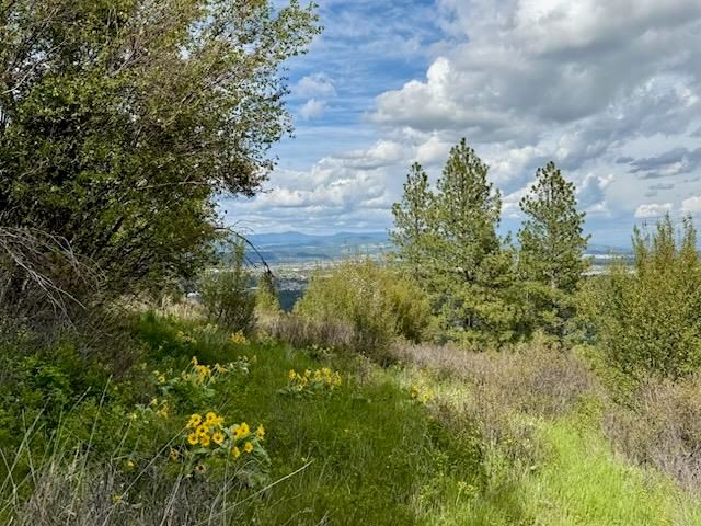 2827 S Park Ln, Spokane, WA 99212