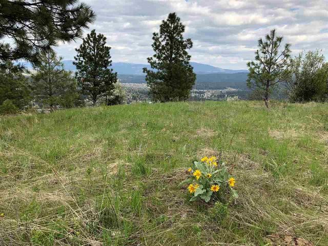2827 S Park Ln, Spokane, WA 99212