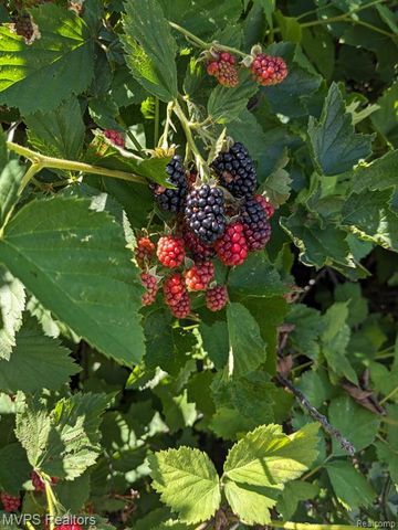 16089 Cambell Drive, Macomb, MI 48044