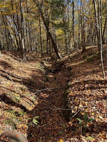 1038 Beatty School Road, Salem Twp, PA 16125