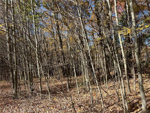 1038 Beatty School Road, Salem Twp, PA 16125