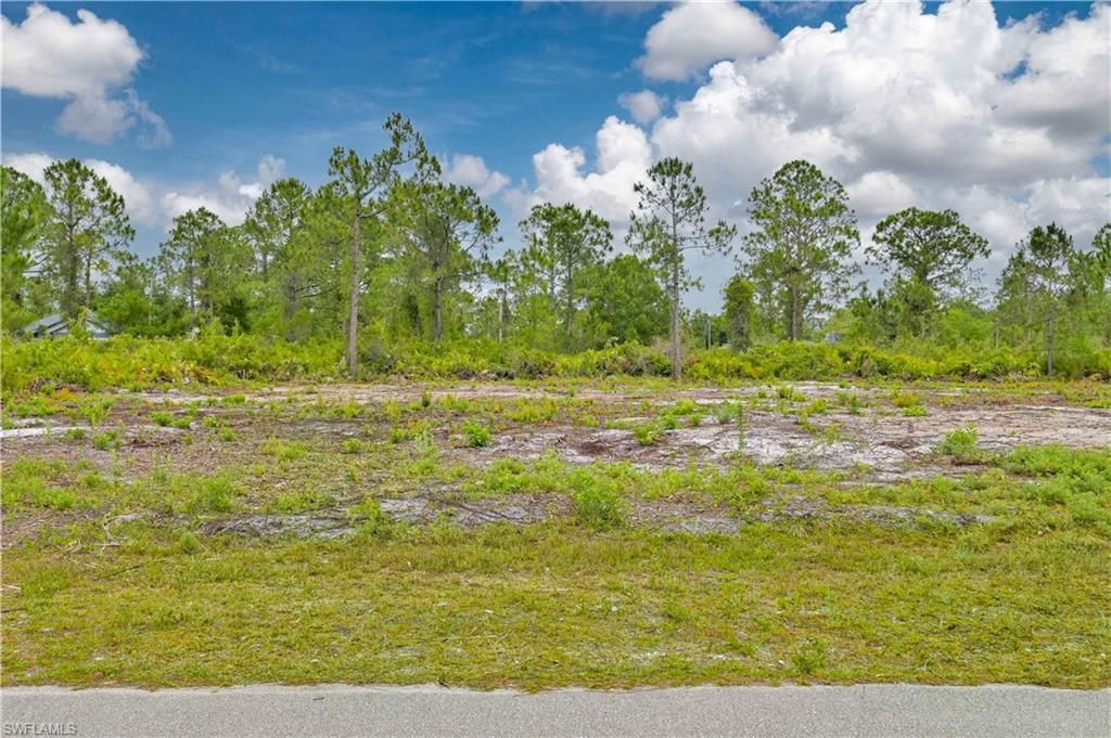 315 Bradley AVE, LEHIGH ACRES, FL 33974 — exterior