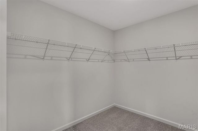 524 Evening Primrose Drive, Wentzville, MO 63385