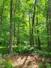 00 N Olson Rd, Hayward, WI 54843