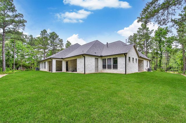 25123 Chisos Bend, Montgomery, TX 77316