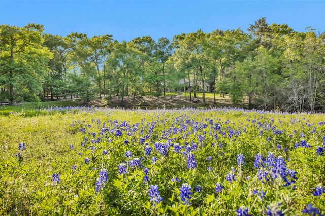 13250 Fm 830, Willis, TX 77318