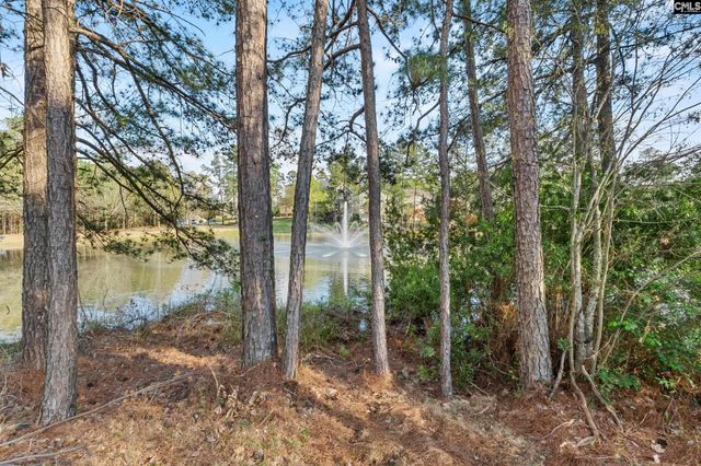 284 October Glory Drive, Blythewood, SC 29016