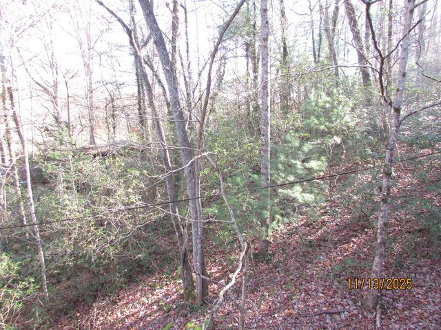 2385 Road 4748, Hiawassee, GA 30546