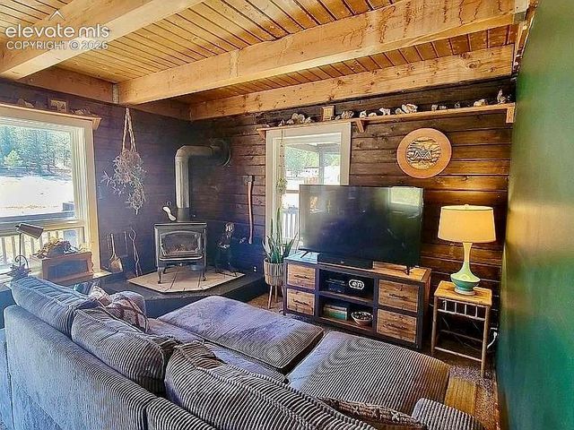475 Sioux Road, Florissant, CO 80816