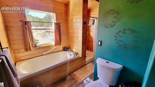 475 Sioux Road, Florissant, CO 80816