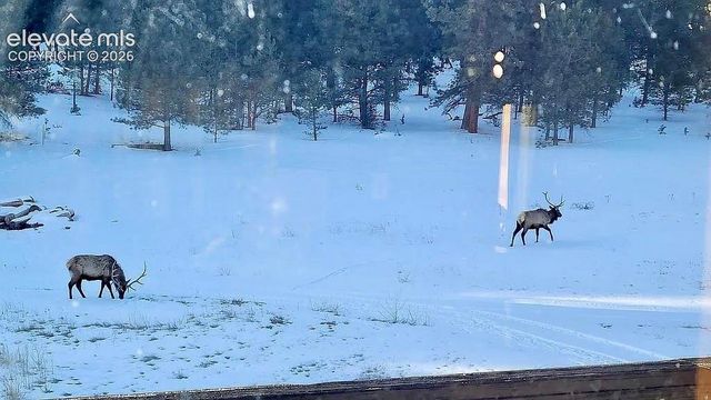 475 Sioux Road, Florissant, CO 80816