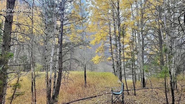 475 Sioux Road, Florissant, CO 80816