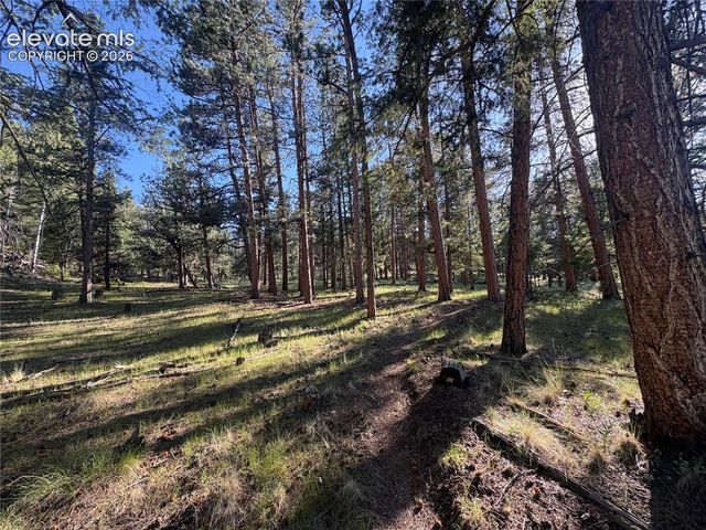 475 Sioux Road, Florissant, CO 80816