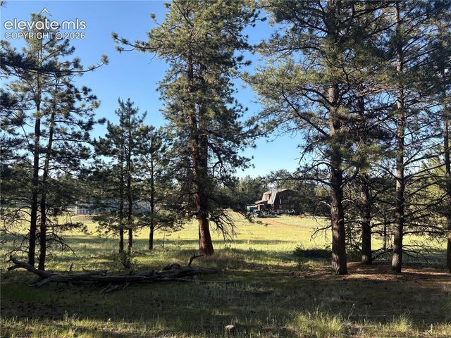 475 Sioux Road, Florissant, CO 80816