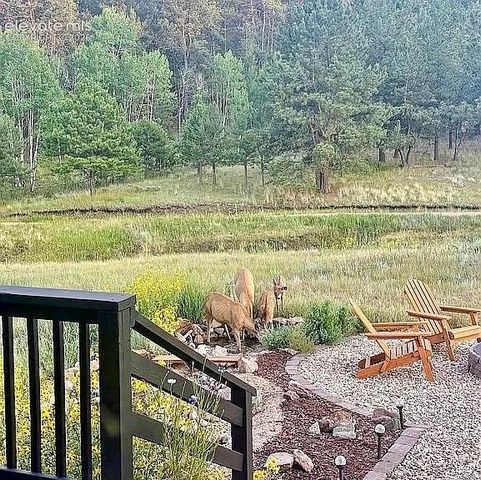 475 Sioux Road, Florissant, CO 80816