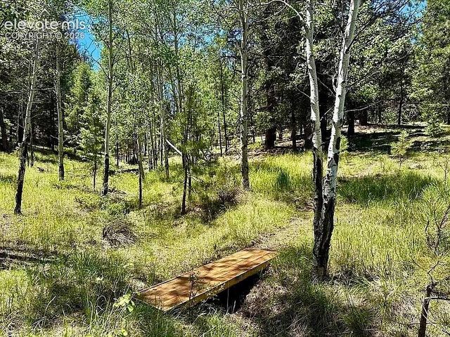 475 Sioux Road, Florissant, CO 80816