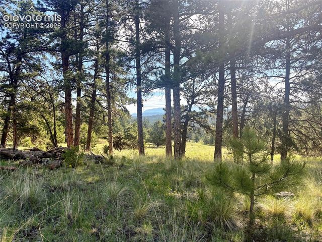 475 Sioux Road, Florissant, CO 80816