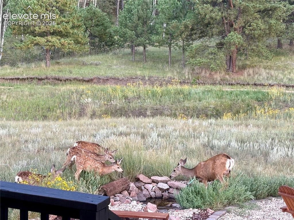 475 Sioux Road, Florissant, CO 80816 — photo 3