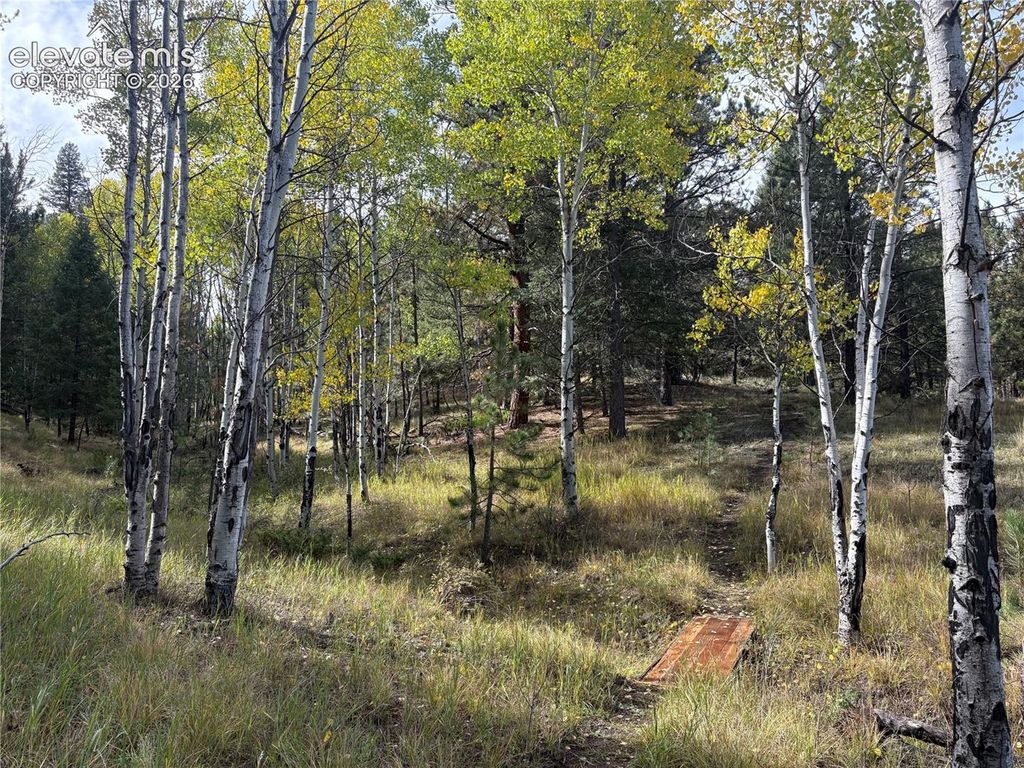 475 Sioux Road, Florissant, CO 80816 — photo 5