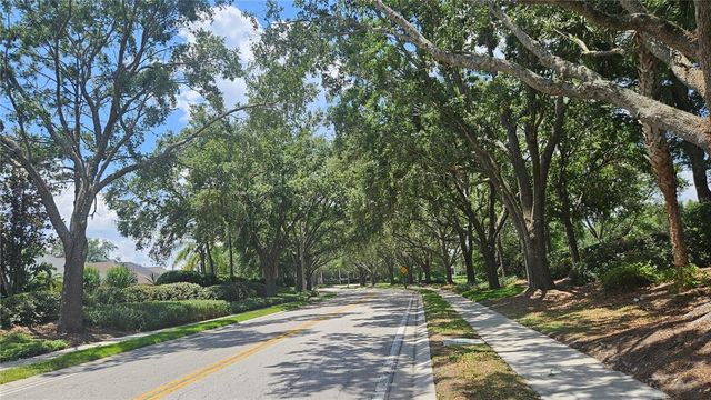 17809 SANDPINE TRACE WAY, Tampa, FL 33647