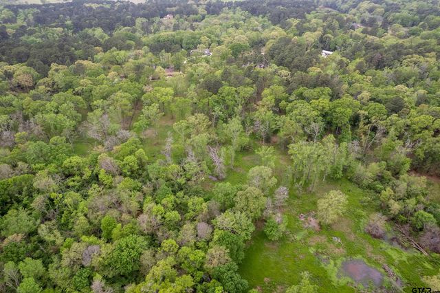 18843 Falls Creek, Flint, TX 75762