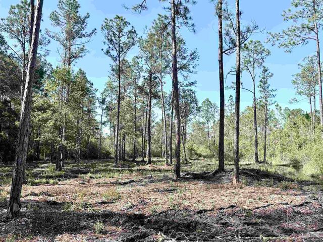 Del Monte St, Milton, FL 32583
