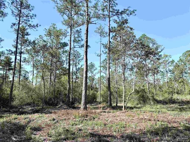 Del Monte St, Milton, FL 32583
