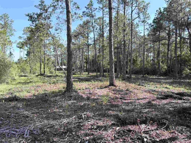 Del Monte St, Milton, FL 32583