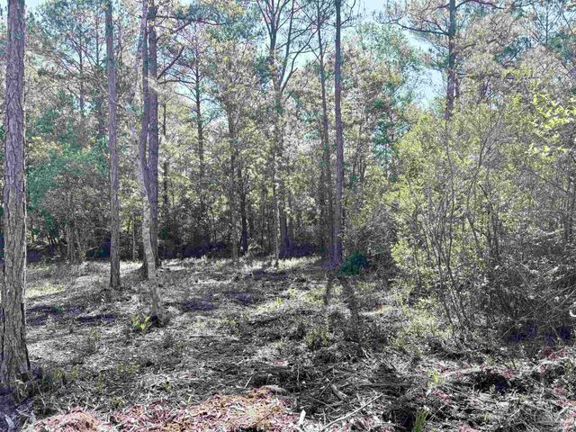 Del Monte St, Milton, FL 32583