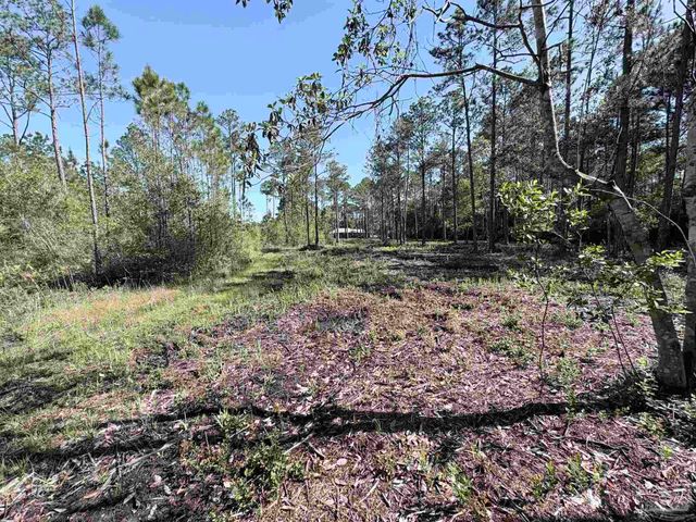Del Monte St, Milton, FL 32583