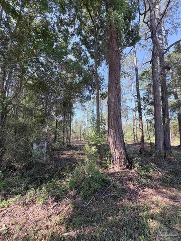 Del Monte St, Milton, FL 32583